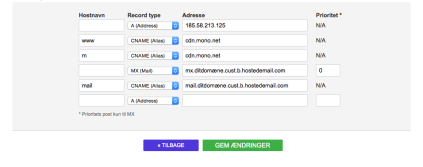 DNS indstillinger, XMX records, IP-adresse, CNAME, txt