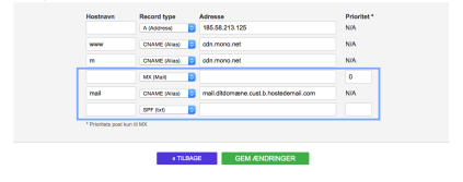 MX records, DNS-indstillinger, domæneindstillinger